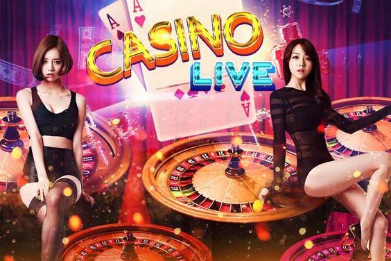 duelbits casino Live Casino